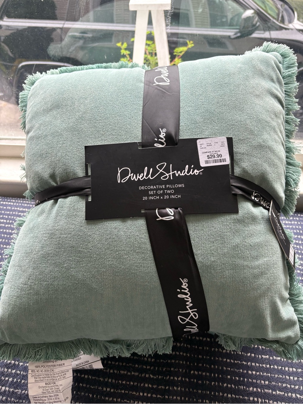Sage Green Decorative Throw Pillow - Set of 2